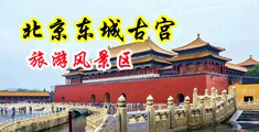 色色爆操中国北京-东城古宫旅游风景区